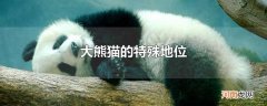 大熊猫的特殊地位