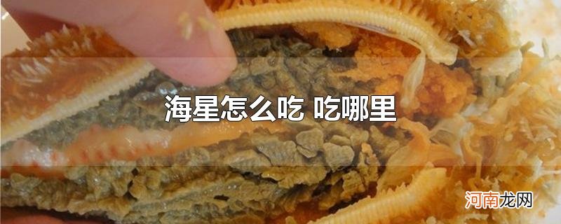 海星怎么吃 吃哪里