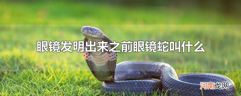 眼镜发明出来之前眼镜蛇叫什么