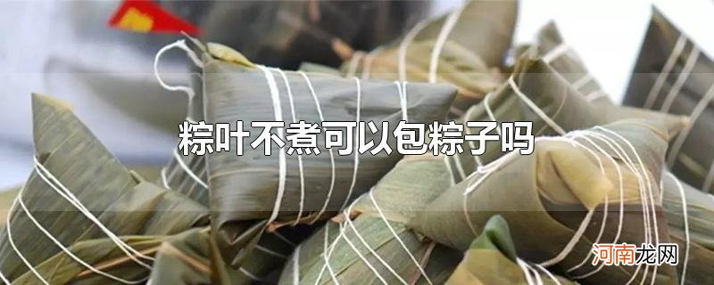 粽叶不煮可以包粽子吗