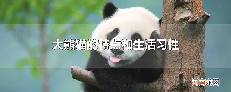 大熊猫的特点和生活习性
