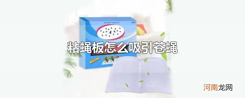 粘蝇板怎么吸引苍蝇