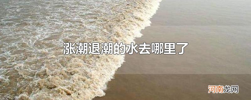 涨潮退潮的水去哪里了