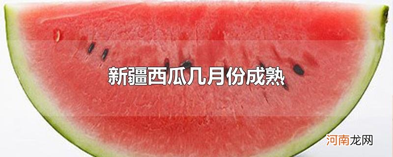 新疆西瓜几月份成熟