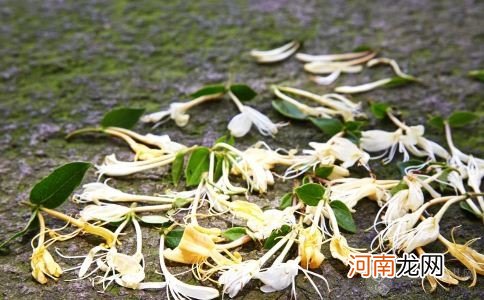 宝宝感冒流鼻涕 吃这些好得快