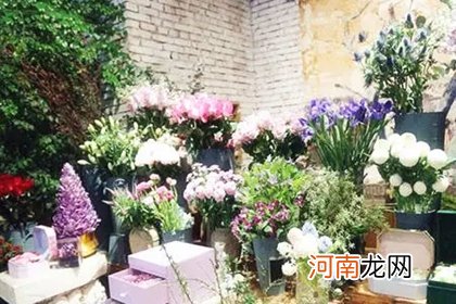 花卉店铺免费起名 关于花卉的店铺名