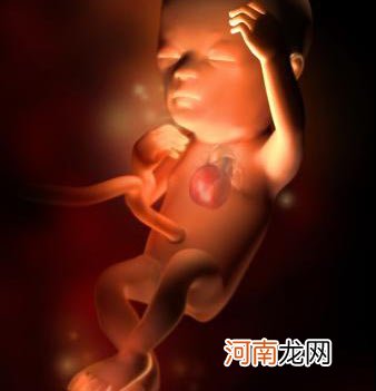 孕期准妈养胎四种情况要当心