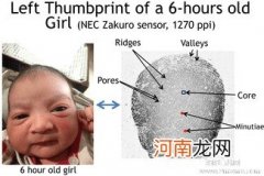 怎么观察指纹辨别宝宝健康