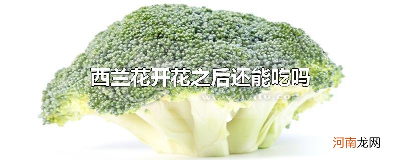 西兰花开花之后还能吃吗