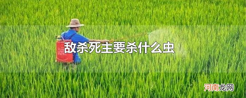 敌杀死主要杀什么虫