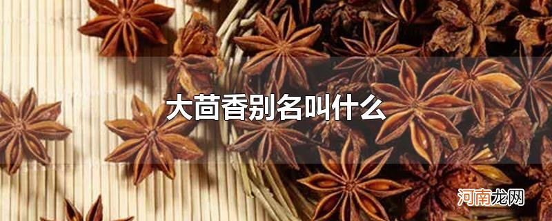 大茴香别名叫什么