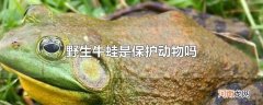 野生牛蛙是保护动物吗