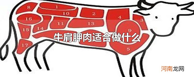 牛肩胛肉适合做什么