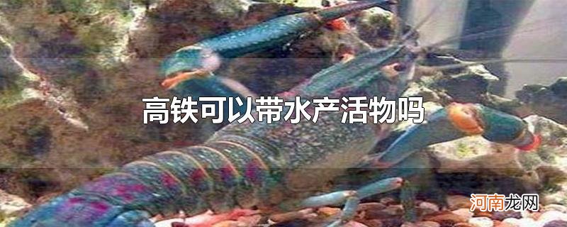 高铁可以带水产活物吗