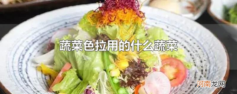 蔬菜色拉用的什么蔬菜