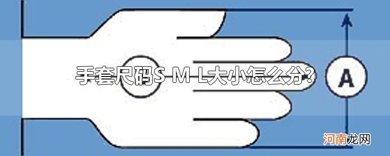 手套尺码S M L大小怎么分?