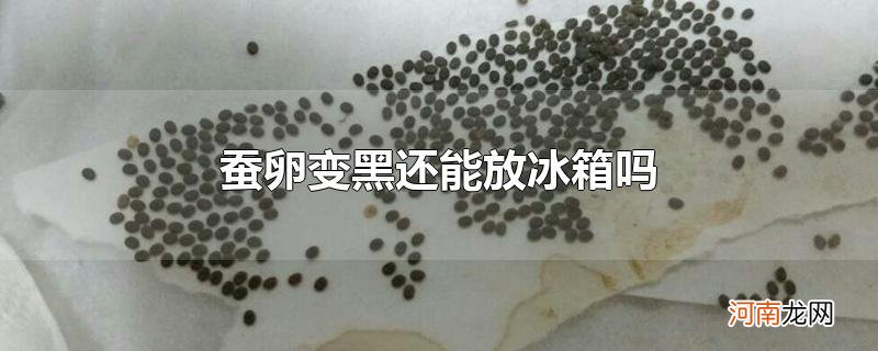 蚕卵变黑还能放冰箱吗