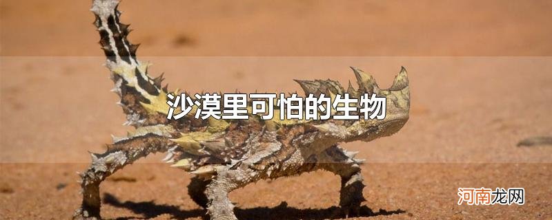 沙漠里可怕的生物