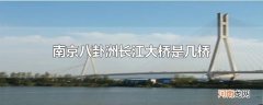 南京八卦洲长江大桥是几桥