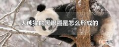 大熊猫的黑眼圈是怎么形成的