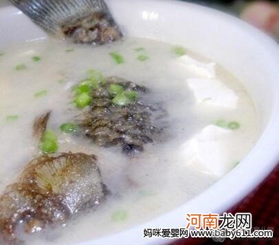 儿童食谱豆腐类：豆腐鲫鱼汤