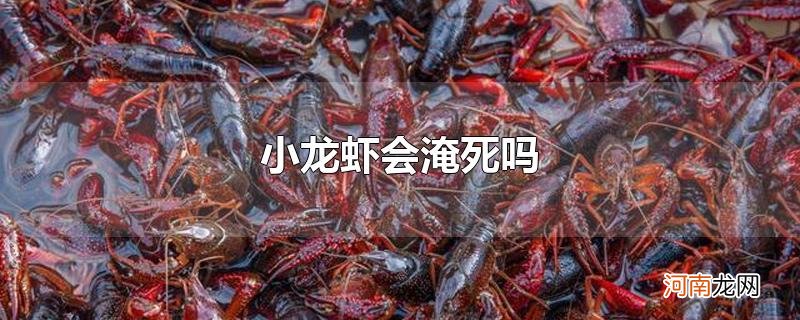 小龙虾会淹死吗