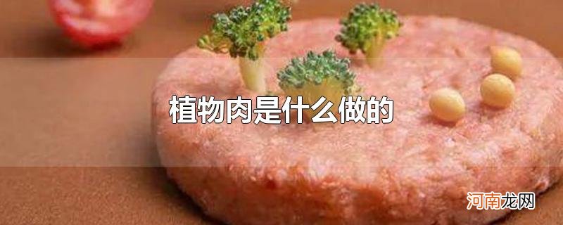 植物肉是什么做的