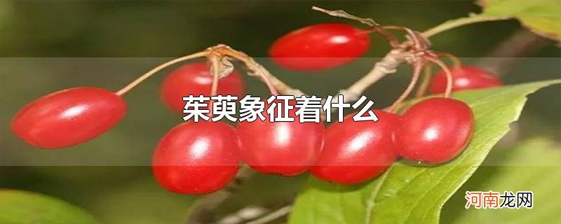 茱萸象征着什么