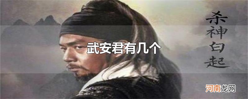 武安君有几个