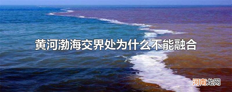 黄河渤海交界处为什么不能融合