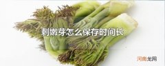 刺嫩芽怎么保存时间长