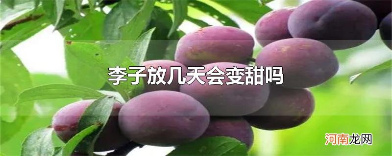 李子放几天会变甜吗