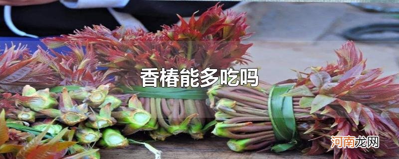 香椿能多吃吗