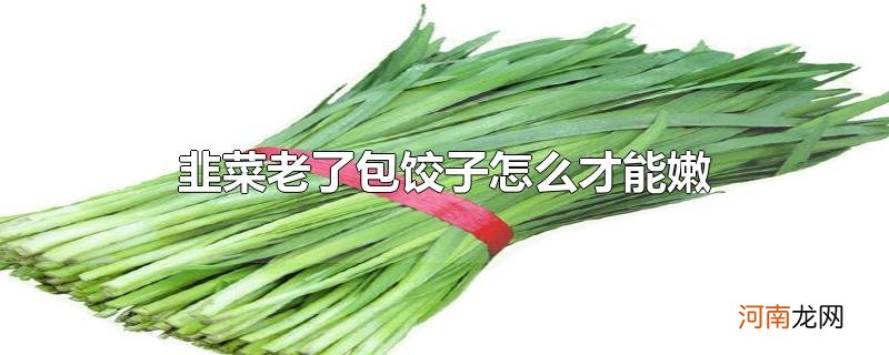 韭菜老了包饺子怎么才能嫩