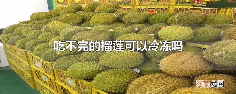 吃不完的榴莲可以冷冻吗