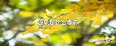 凉风是什么季节