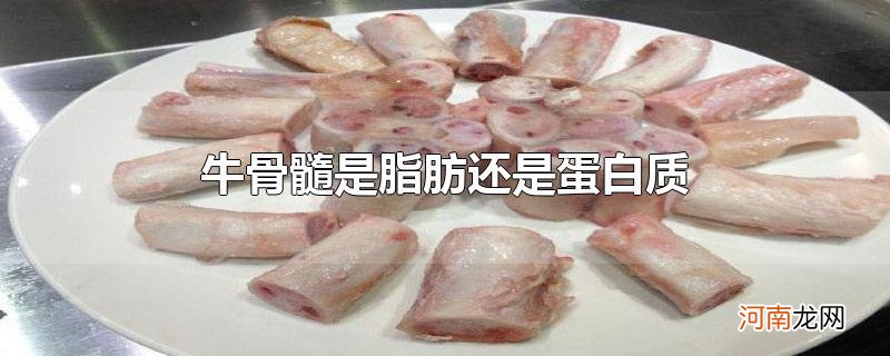 牛骨髓是脂肪还是蛋白质