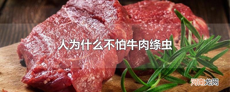 人为什么不怕牛肉绦虫