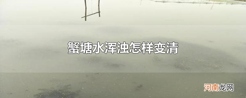 蟹塘水浑浊怎样变清