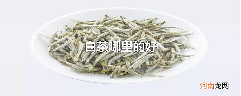 白茶哪里的好