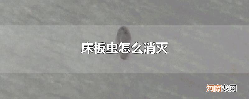 床板虫怎么消灭