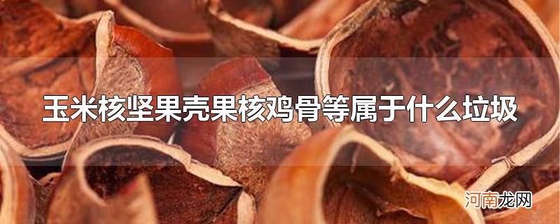 玉米核坚果壳果核鸡骨等属于什么垃圾