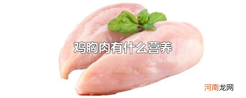 鸡胸肉有什么营养