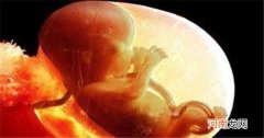 怀孕5个月的胎儿是什么样子 孕妇该如何保养身体