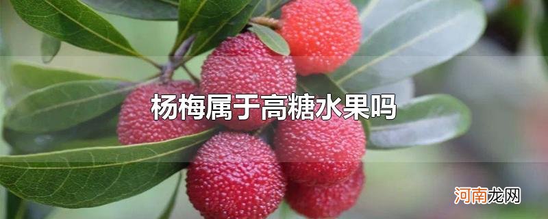 杨梅属于高糖水果吗