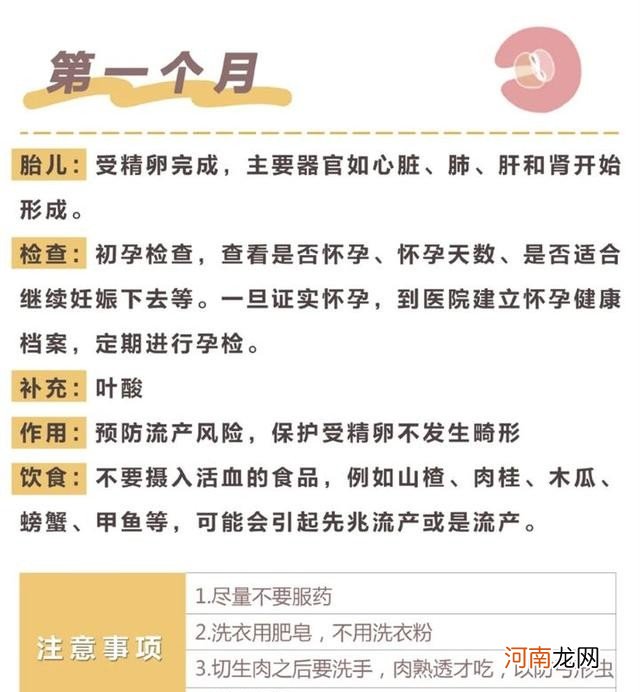 怀孕的过程是什么样子的 全过程解析需要注意什么