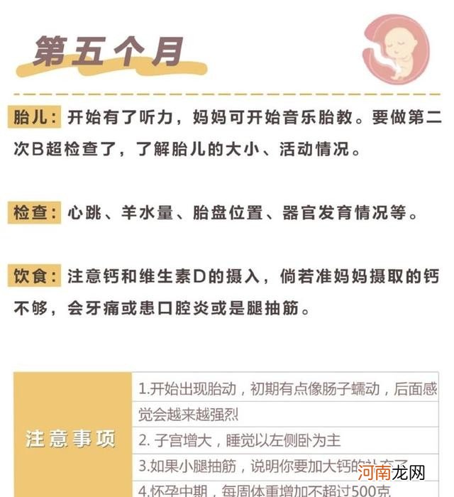 怀孕的过程是什么样子的 全过程解析需要注意什么