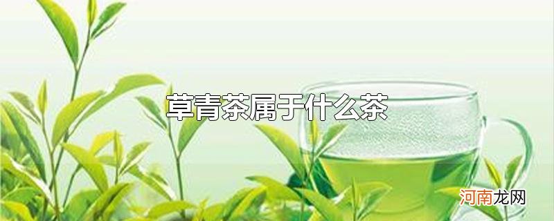 草青茶属于什么茶