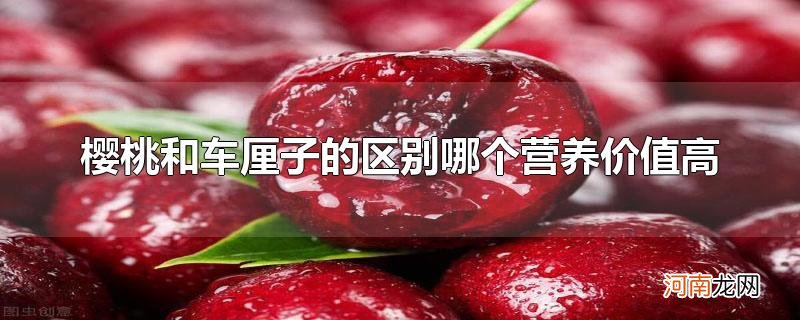 樱桃和车厘子的区别哪个营养价值高