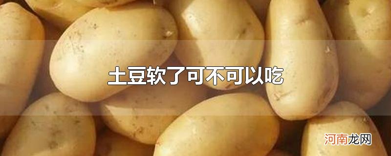 土豆软了可不可以吃